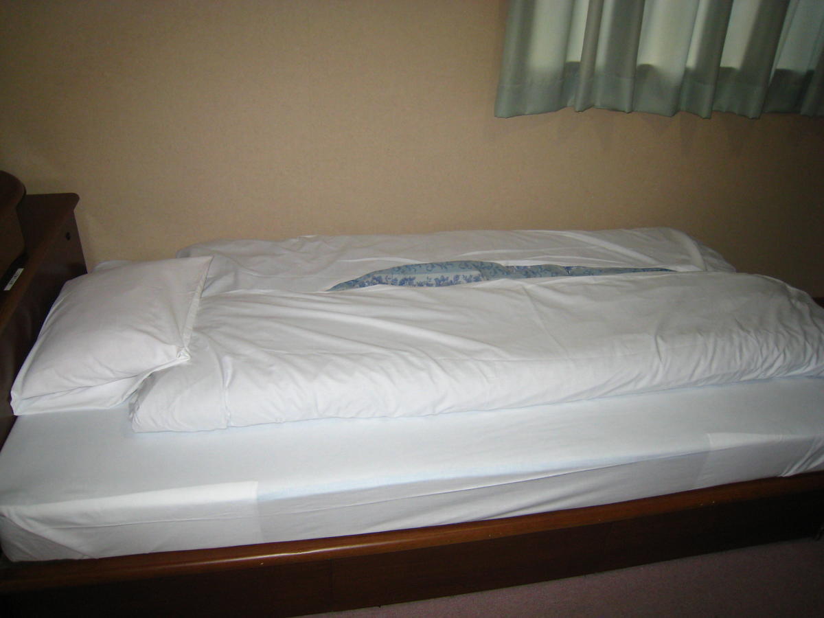 Business Hotel Ojiro Shizuoka Pokój zdjęcie